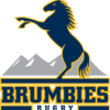 Brumbies U19s