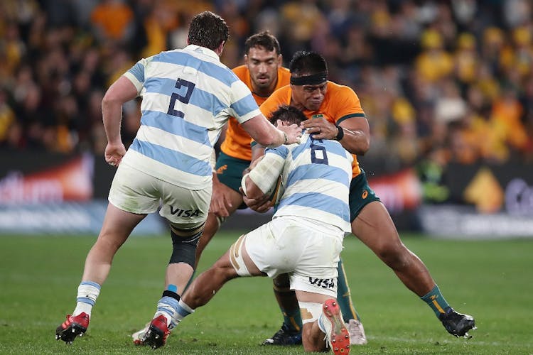 Wallabies v Argentina: How to watch Test in Australia, teams, fixtures and more