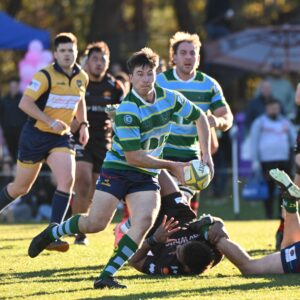 Round 11 Match of the Round Preview: Uni-Norths v Royals