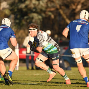 Uni Norths Owls v Canberra Royals: Round 11 Highlights